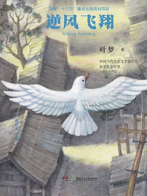 cover image of 逆风飞翔